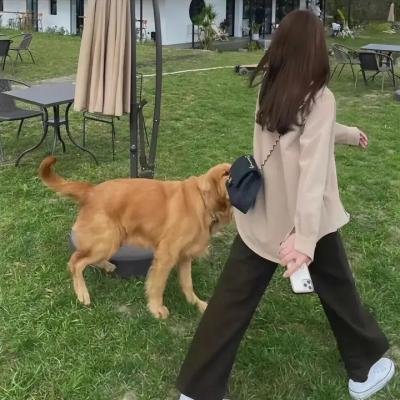 北非特警